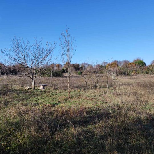 Участок под застройку 5833м2, Ровинь