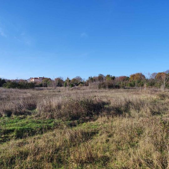 Участок под застройку 5833м2, Ровинь