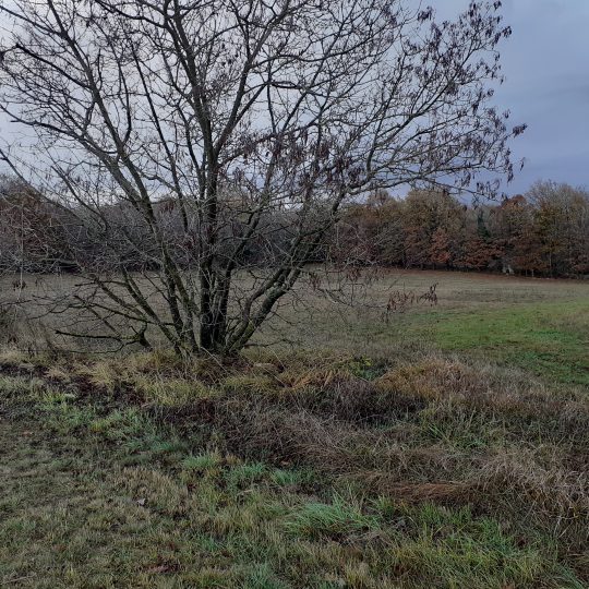 Рядом с Жминем, сельскохозяйственная земля 8860м2, позволила построить заправочную станцию.