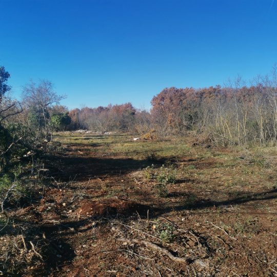 Сельскохозяйственная земля, Галижана, 2100м2