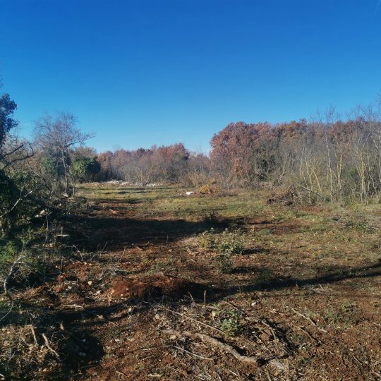 Сельскохозяйственная земля, Галижана, 2100м2