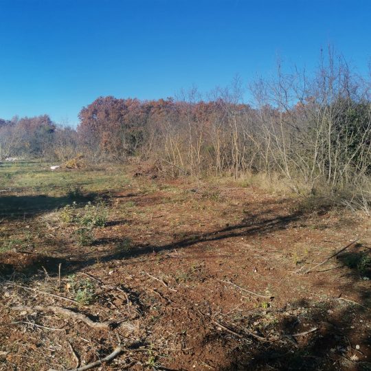 Сельскохозяйственная земля, Галижана, 2100м2