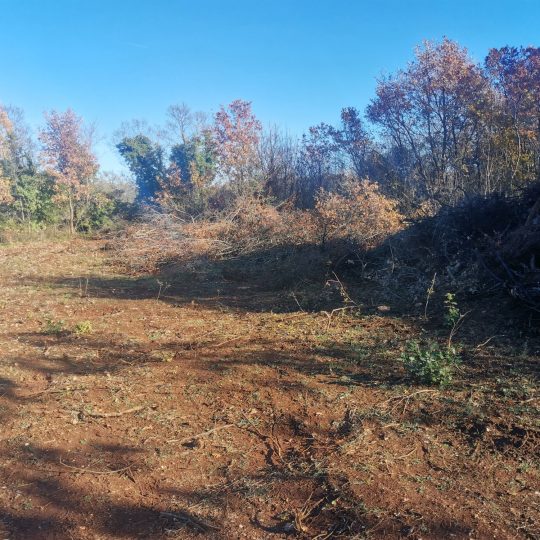 Сельскохозяйственная земля, Галижана, 2100м2