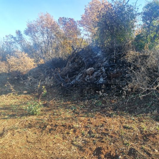 Сельскохозяйственная земля, Галижана, 2100м2