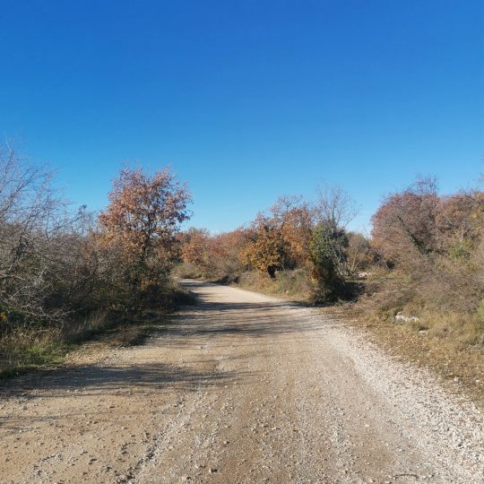 Сельскохозяйственная земля, Галижана, 2100м2