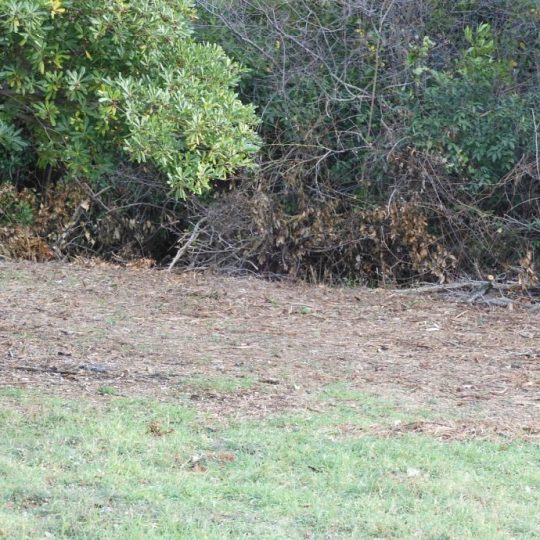 ПРЕМАНТУРА ЗЕМЕЛЬНЫЙ УЧАСТОК 1325 м2, РЯДОМ РУНКИ