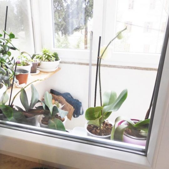 КВАРТИРА PULA, КРАСИВАЯ, ОТРЕМОНТИРОВАННЫЙ, РЯДОМ ПАРКА МОНТЕ-ЗАРО, ТРИ СПАЛЬНИ