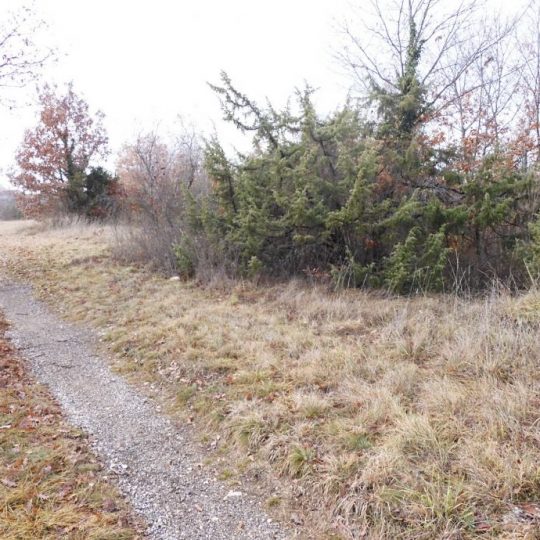 ŽMINJ ŠOŠTARI, УРБАНИЗИРОВАННОЕ СТРОИТЕЛЬСТВО 1500m2, 5500m2 НЕТУРБАНИЗИРОВАННОЕ