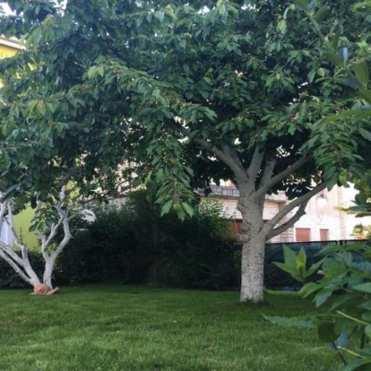 Продажа – Красивый семейный дом с бассейном и просторным садом