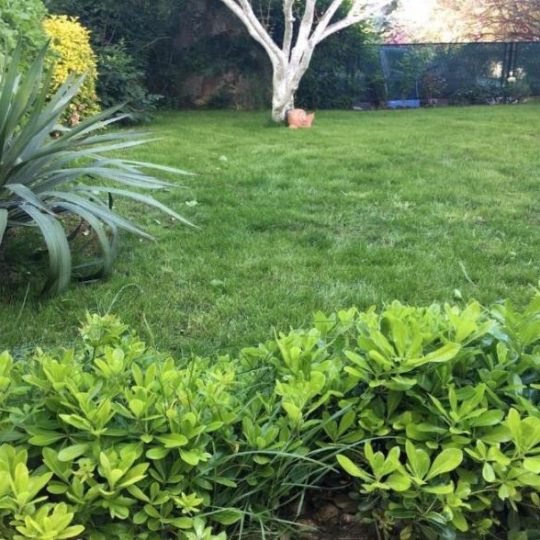 Продажа – Красивый семейный дом с бассейном и просторным садом