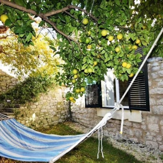 дом СВЕТВИНЧЕНАТ, КРАСИВЫЙ, УДОБНЫЙ КАМЕННЫЙ ДОМ, САД 2000M2, ОЛИВКИ