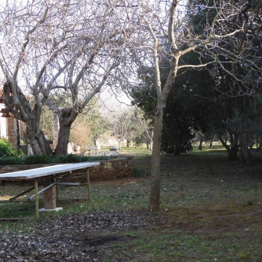 дом СВЕТВИНЧЕНАТ, КРАСИВЫЙ, УДОБНЫЙ КАМЕННЫЙ ДОМ, САД 2000M2, ОЛИВКИ