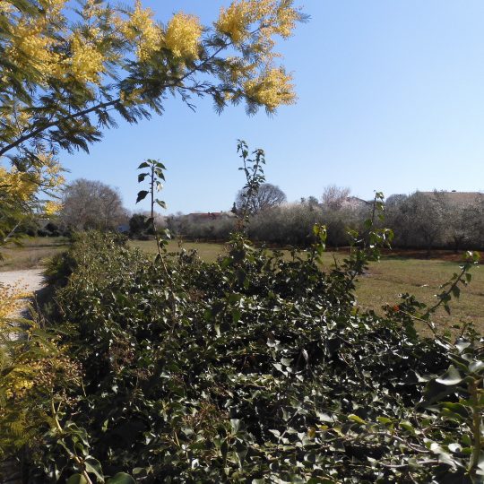 Участок под застройку PEROJ 660м2, СОЕДИНЕННЫЙ С 1619м2 НЕУРБАНИЗИРОВАННЫМ