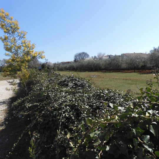 Участок под застройку PEROJ 660м2, СОЕДИНЕННЫЙ С 1619м2 НЕУРБАНИЗИРОВАННЫМ