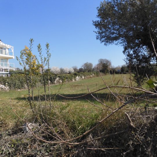 Участок под застройку PEROJ 660м2, СОЕДИНЕННЫЙ С 1619м2 НЕУРБАНИЗИРОВАННЫМ