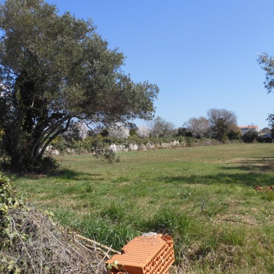 Участок под застройку PEROJ 660м2, СОЕДИНЕННЫЙ С 1619м2 НЕУРБАНИЗИРОВАННЫМ