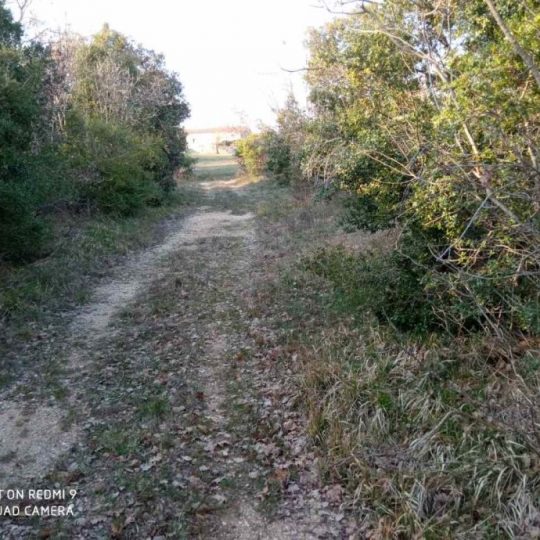 Гализана, дом под ремонт, большой участок