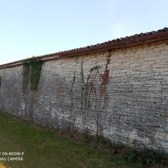 Гализана, дом под ремонт, большой участок