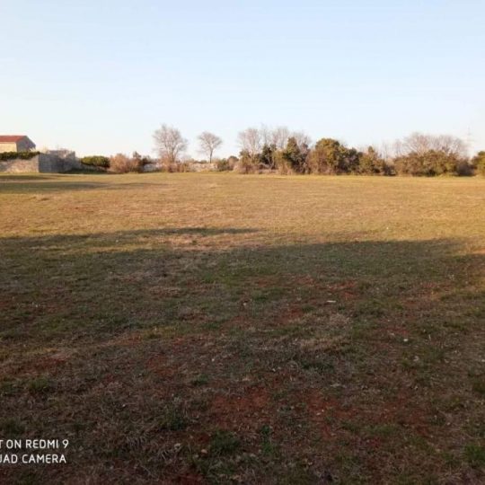 Гализана, дом под ремонт, большой участок