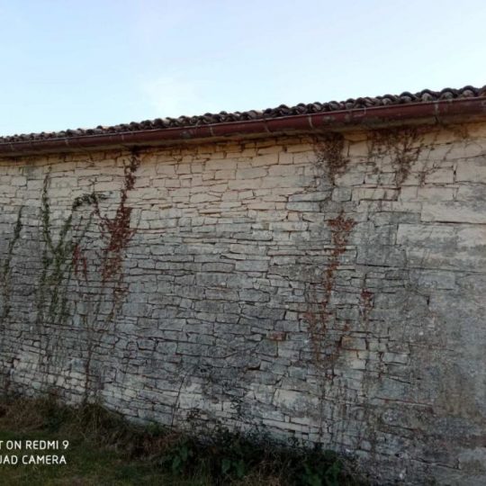 Гализана, дом под ремонт, большой участок