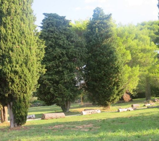 Дом FAŽANA, ДОМ С ДВУМЯ КВАРТИРАМИ, ROH BAU КВАРТИРА и СВОБОДНАЯ КВАРТИРА