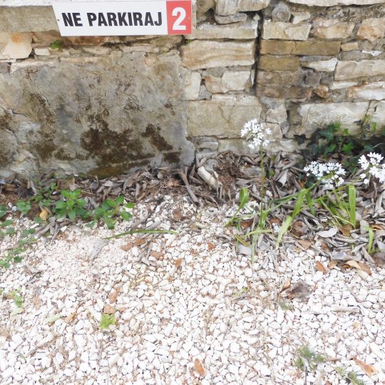 Stan VERUDA, ADAPTIRANO LIJEPO, VRT S PALMAMA150M2, DVA PARKINGA