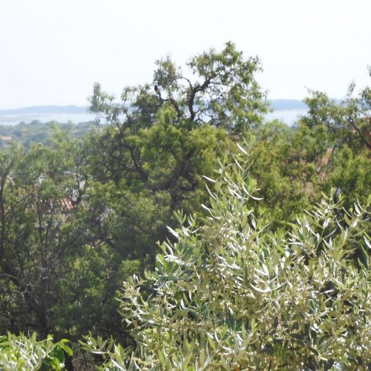 Kuća u Ližnjanu – kvalitetna gradnja za obiteljski život ili investiciju, s pogledom na more