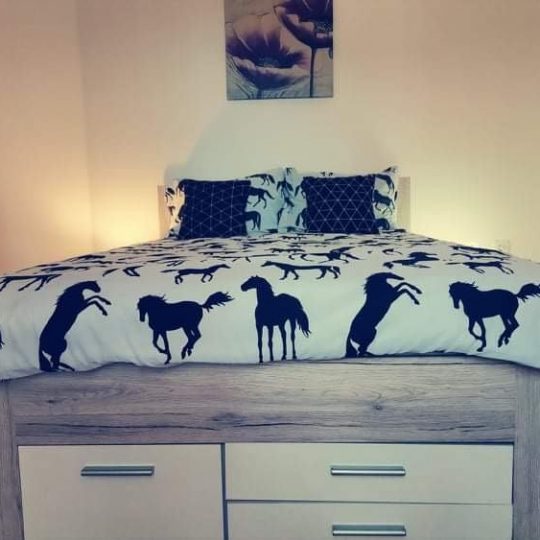 Liznjan, apartment with sea view