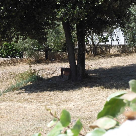 PJEŠČANA UVALA, ODLIČNA PARCELA UZ ASFALT, Plaža 5 MINUTA PJEŠICE