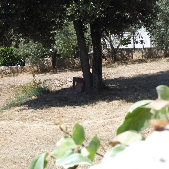 PJEŠČANA UVALA, ODLIČNA PARCELA UZ ASFALT, Plaža 5 MINUTA PJEŠICE