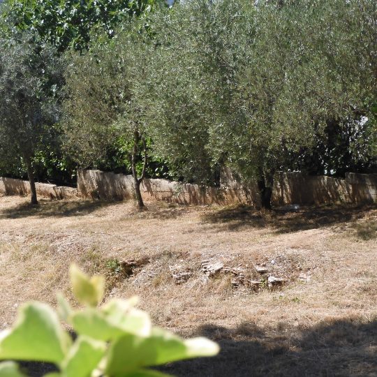 PJEŠČANA UVALA, ODLIČNA PARCELA UZ ASFALT, Plaža 5 MINUTA PJEŠICE