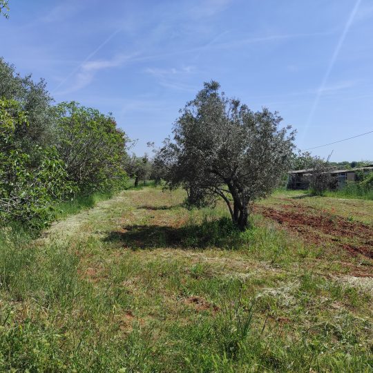 Fažana, legaliziran objekt 66 m2