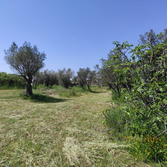 Fažana, legaliziran objekt 66 m2