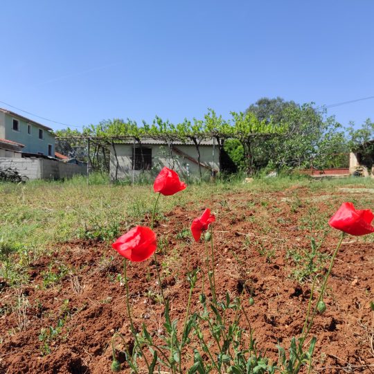 Fažana, legaliziran objekt 66 m2