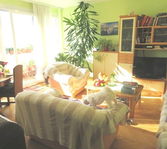 Квартира ПУЛА, КАШТАНЬЕР, ТРИ СПАЛЬНИ