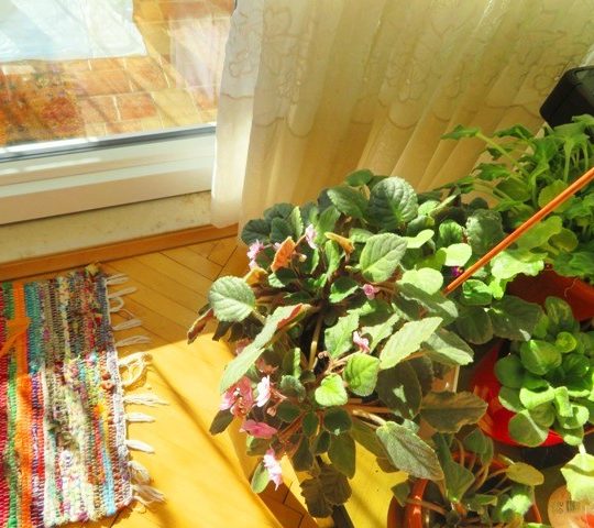 Квартира ПУЛА, КАШТАНЬЕР, ТРИ СПАЛЬНИ