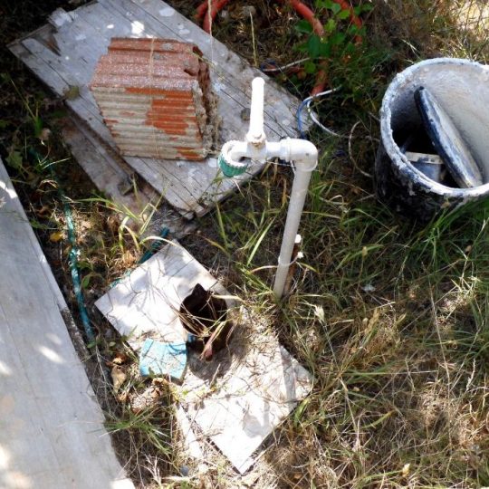 KUĆA ŠIKIĆI, ŠIŠAN, CCA 5 KM DO PULE, KUĆICA SA VRTOM I DVORIŠTEM