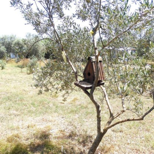 KUĆA ŠIKIĆI, ŠIŠAN, CCA 5 KM DO PULE, KUĆICA SA VRTOM I DVORIŠTEM