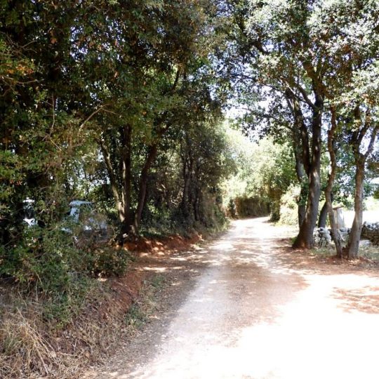KUĆA ŠIKIĆI, ŠIŠAN, CCA 5 KM DO PULE, KUĆICA SA VRTOM I DVORIŠTEM