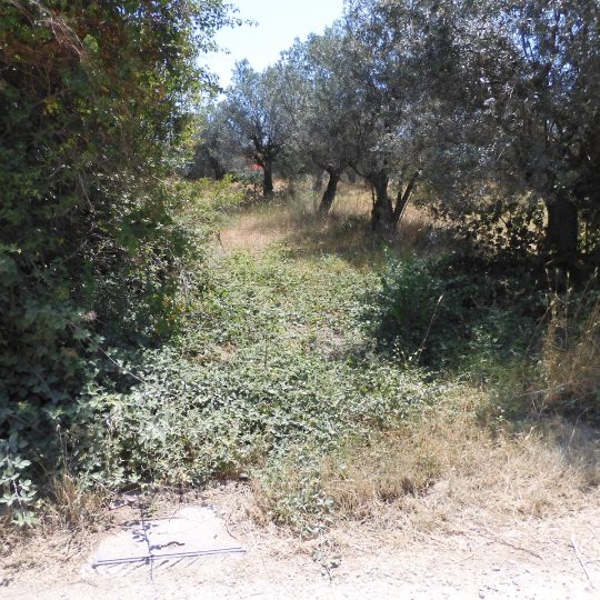 Galižana, Building plot