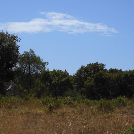 Земля под застройку, ПУЛА, ШТИНЯН