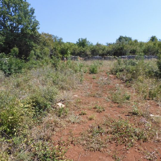 PEROJ, NEURBANIZIRANO, BLIZU PLAŽE