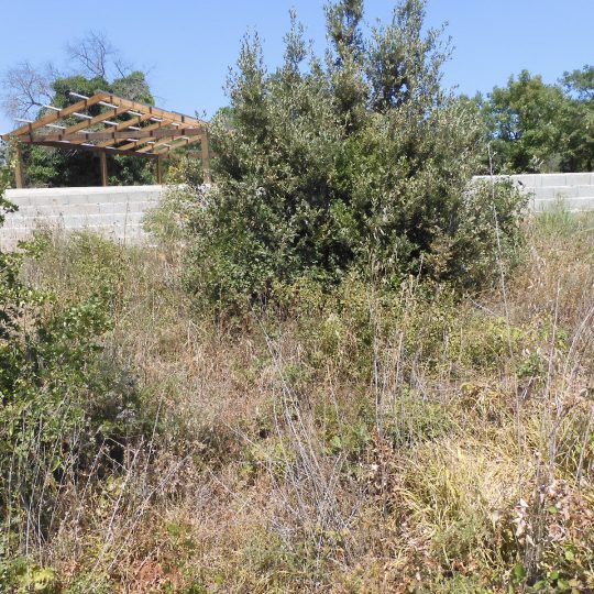 PEROJ, NEURBANIZIRANO, BLIZU PLAŽE