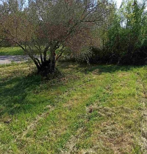 Building plots, Pavićini, 1100m2 i 1200m2
