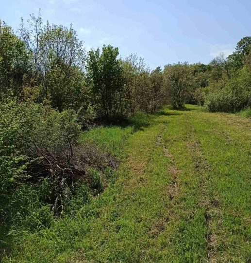 Building plots, Pavićini, 1100m2 i 1200m2