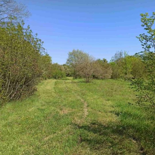 Building plots, Pavićini, 1100m2 i 1200m2