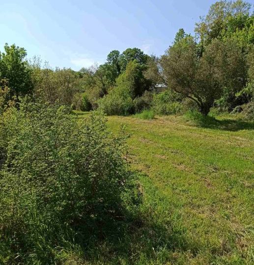 Building plots, Pavićini, 1100m2 i 1200m2
