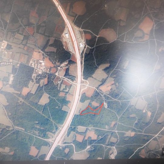 GALIZANA. FOREST, TREES 100 YEARS OLD, €5/m2