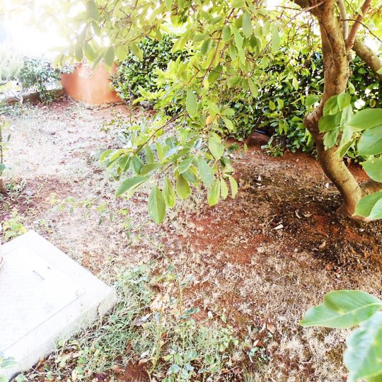 Kuća PULA, LIJEPA i UREDNA KUĆA SA DVA STANA, KOD GROŽNJANSKE ULICE