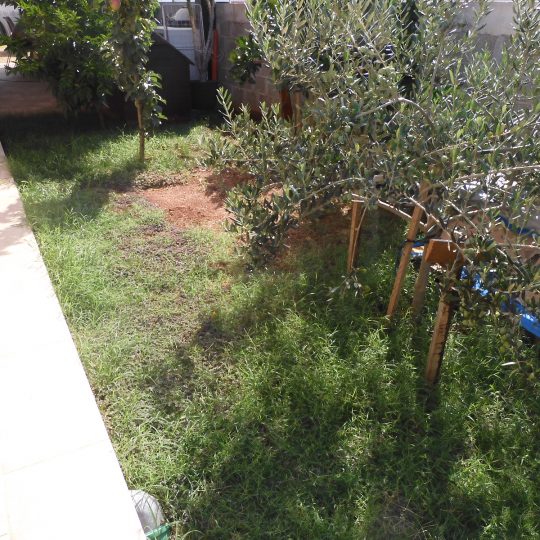 House PULA, 3 KM TO PULA, 4 KM TO MEDULINA, THREE BEDROOMS